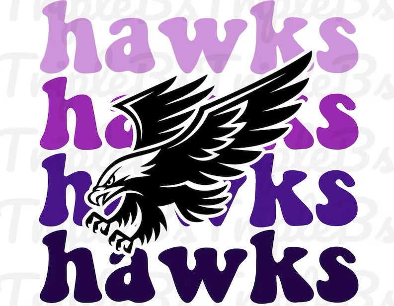 Youth Hawks Top